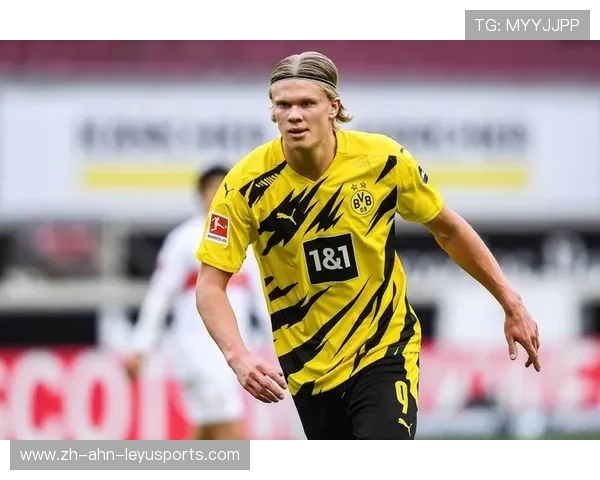 哈斯塔尔是CBA的吗还是足球运动员？